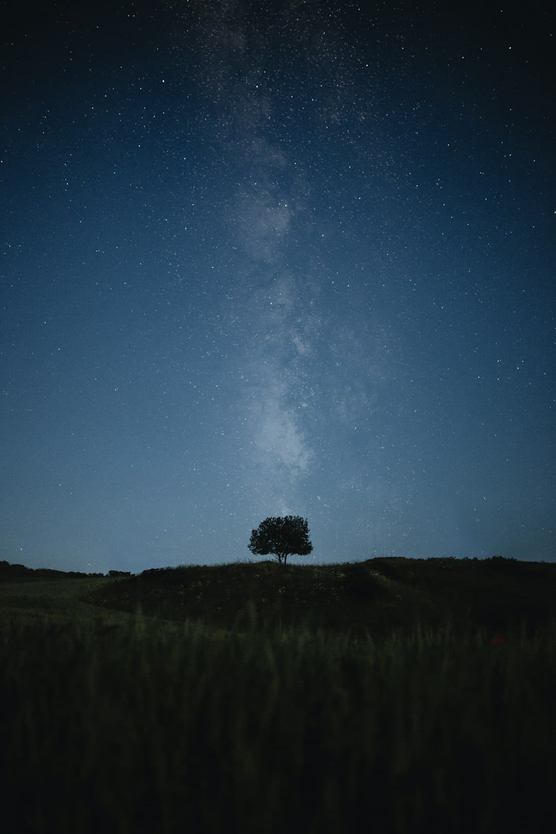 https://p3.img.cctvpic.com/photoworkspace/contentimg/2025/09/06/2025090609253635953.jpg